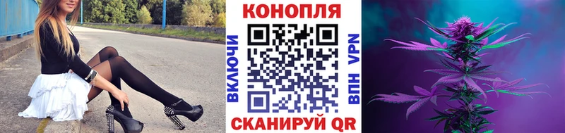 Конопля Bruce Banner Трёхгорный